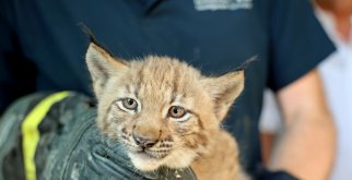 © Timo Deible/Zoo Karlsruhe