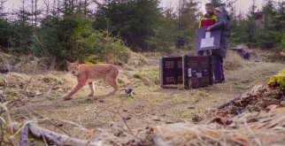 © Archiv Naturschutz LfULG/Alexander Sommer