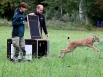 © Timo Deible/Zoo Karlsruhe